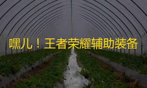 和平精英开挂游戏软件购买嘿儿！王者荣耀辅助装备大整改，小伙伴们赶紧来get新技能